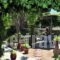 Christina'S Garden_best prices_in_Hotel_Aegean Islands_Lesvos_Petra