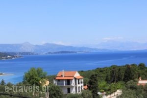 75 Steps Apartments_lowest prices_in_Apartment_Ionian Islands_Corfu_Corfu Rest Areas
