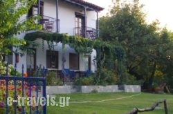 Mirsini Apartments_s __1