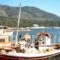 Argo_holidays_in_Hotel_Peloponesse_Korinthia_Korfos