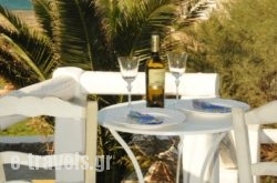 Ftelia View_s __1