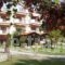 Pension Karvounoskala_accommodation_in_Hotel_Macedonia_Halkidiki_Chalkidiki Area
