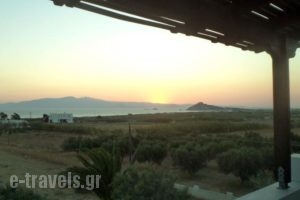 Studios Michel_accommodation_in_Hotel_Cyclades Islands_Paros_Paros Chora