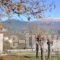 Artsistas Houses_holidays_in_Hotel_Epirus_Ioannina_Aristi