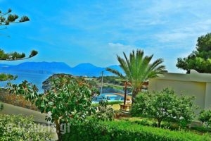 Poppy Villas_holidays_in_Villa_Crete_Lasithi_Aghios Nikolaos
