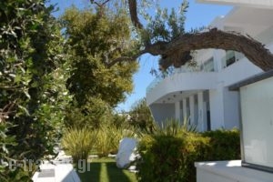 Mythodea_lowest prices_in_Hotel_Aegean Islands_Thasos_Thasos Chora