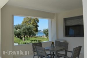 Mythodea_best prices_in_Hotel_Aegean Islands_Thasos_Thasos Chora