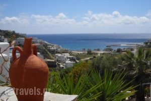 Ostria Studios-Agnanti_accommodation_in_Hotel_Cyclades Islands_Sikinos_Sikinos Rest Areas