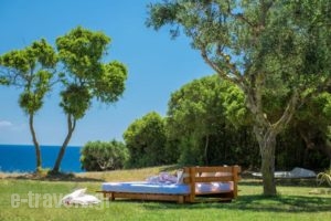 La Dolce Villa_best prices_in_Villa_Ionian Islands_Zakinthos_Laganas