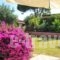 Artemis Pansion_best deals_Hotel_Ionian Islands_Zakinthos_Laganas