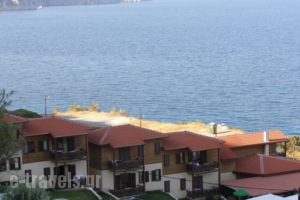 Wooden Nest_holidays_in_Hotel_Central Greece_Evia_Aliveri