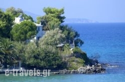 Paradisso Beach Villas in Alykes, Zakinthos, Ionian Islands