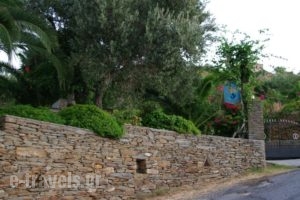 Studios Villa Lontorfou_best deals_Villa_Cyclades Islands_Syros_Syrosst Areas