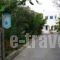 Studios Villa Lontorfou_lowest prices_in_Villa_Cyclades Islands_Syros_Syrosst Areas