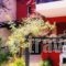 Hotel Aeollos_best deals_Hotel_Macedonia_Halkidiki_Pefkochori