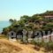 Celia Apartments_best prices_in_Apartment_Ionian Islands_Zakinthos_Zakinthos Chora