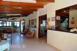 Celia Apartments_holidays_in_Apartment_Ionian Islands_Zakinthos_Zakinthos Chora