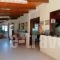 Celia Apartments_holidays_in_Apartment_Ionian Islands_Zakinthos_Zakinthos Chora