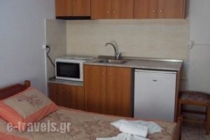 Epikoureios Apollon_lowest prices_in_Hotel_Peloponesse_Ilia_Andritsena