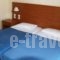 Pension'Sidon_best prices_in_Hotel_Peloponesse_Ilia_Olympia