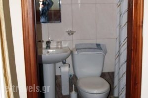 Pension'Sidon_lowest prices_in_Hotel_Peloponesse_Ilia_Olympia