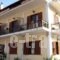 Pension'Sidon_accommodation_in_Hotel_Peloponesse_Ilia_Olympia