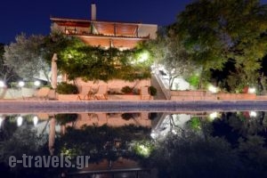 Villa Paradise_holidays_in_Villa_Central Greece_Evia_Artemisio
