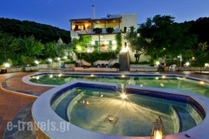 Villa Paradise_accommodation_in_Villa_Central Greece_Evia_Artemisio