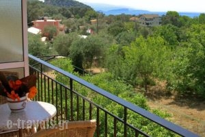 Kefalas Apartments_holidays_in_Apartment_Epirus_Preveza_Sarakino
