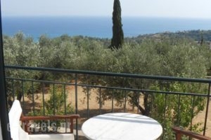 Apsedes Studios_accommodation_in_Hotel_Ionian Islands_Kefalonia_Kefalonia'st Areas