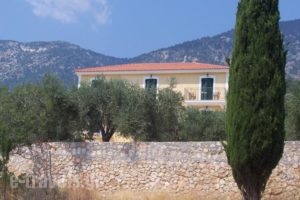 Apsedes Studios_holidays_in_Hotel_Ionian Islands_Kefalonia_Kefalonia'st Areas