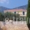 Apsedes Studios_holidays_in_Hotel_Ionian Islands_Kefalonia_Kefalonia'st Areas