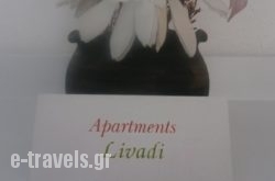 Livadi Apartments in Plakias, Rethymnon, Crete