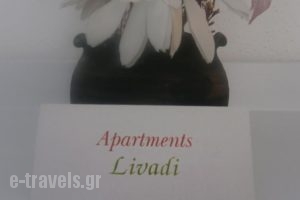 Livadi Apartments_accommodation_in_Apartment_Crete_Rethymnon_Plakias