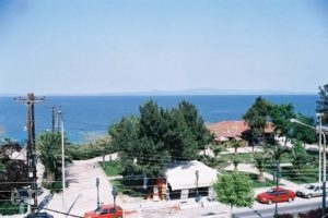 Poppis Studios_lowest prices_in_Hotel_Macedonia_Halkidiki_Kassandreia