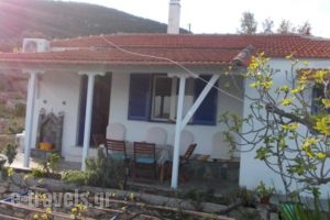 Mourtero House_travel_packages_in_Sporades Islands_Skopelos_Stafylos