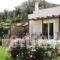 Naiades Villas_accommodation_in_Villa_Central Greece_Evia_Karystos