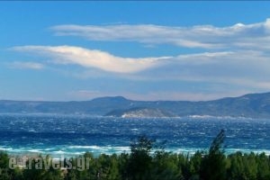 Kopana Resort_lowest prices_in_Hotel_Macedonia_Halkidiki_Kassandreia
