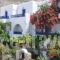 Nostos Studios_accommodation_in_Hotel_Cyclades Islands_Amorgos_Amorgos Chora