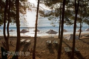 Candia Park Village_best deals_Hotel_Crete_Lasithi_Ammoudara