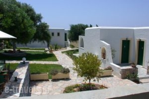 Scala Apartments_best deals_Apartment_Cyclades Islands_Naxos_Naxos chora