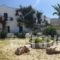 Pension Askas_best deals_Hotel_Cyclades Islands_Amorgos_Amorgos Chora