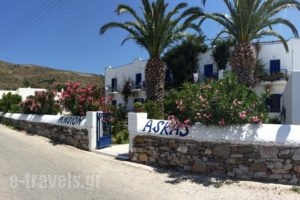 Pension Askas_accommodation_in_Hotel_Cyclades Islands_Amorgos_Amorgos Chora