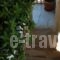 Manolis Maria Flitzani Studios_holidays_in_Hotel_Aegean Islands_Ikaria_Ikaria Chora