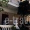 Manolis Maria Flitzani Studios_travel_packages_in_Aegean Islands_Ikaria_Ikaria Chora