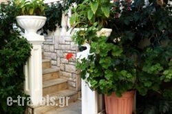 Manolis Maria Flitzani Studios_s __1