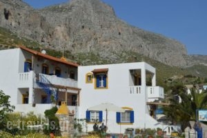 Themelina Studios_accommodation_in_Hotel_Dodekanessos Islands_Kalimnos_Kalimnos Rest Areas