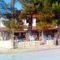 Marina Hotel_holidays_in_Hotel_Macedonia_Halkidiki_Nikiti