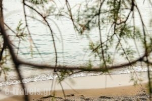 Elena'S Beach Garden_holidays_in_Hotel_Crete_Lasithi_Koutsounari