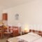 Anatoli Villas_accommodation_in_Villa_Aegean Islands_Samos_Samos Chora